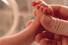 Close up photo of a baby in incubator with adult gently reaching in and holding one foot