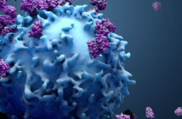 artist's rendering of a human body immune system