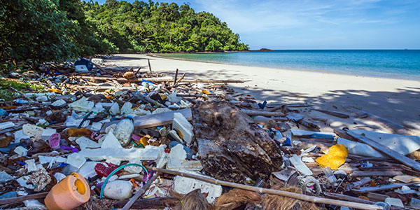 photo of plastic and other waste lining a beach